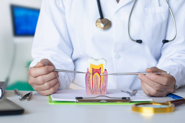 Best 24-Hour Emergency Dental Care in East St Louis, IL